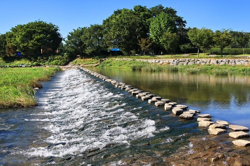 DIY Garden Stepping Stones